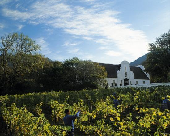 Weinkellerei Groot Constantia